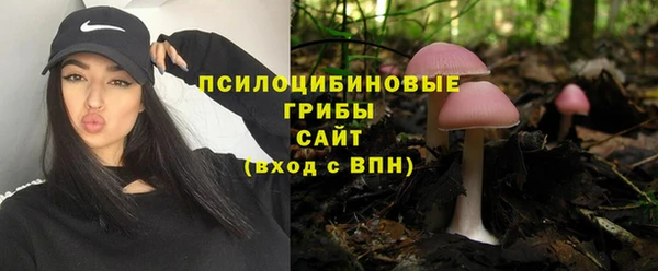 меф Гусев