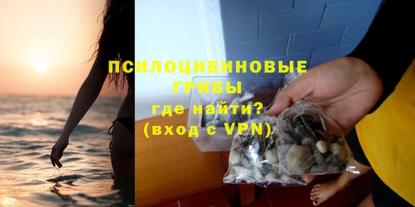 PSILOCYBIN Гусиноозёрск