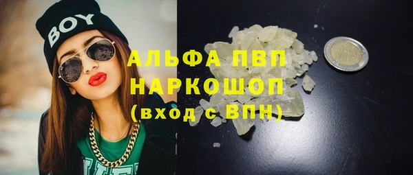 PSILOCYBIN Гусиноозёрск