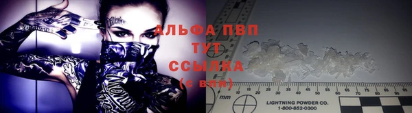PSILOCYBIN Гусиноозёрск