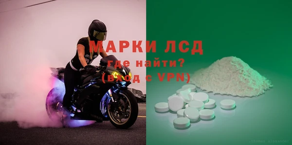 PSILOCYBIN Гусиноозёрск