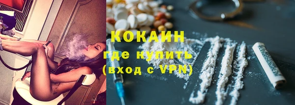 PSILOCYBIN Гусиноозёрск